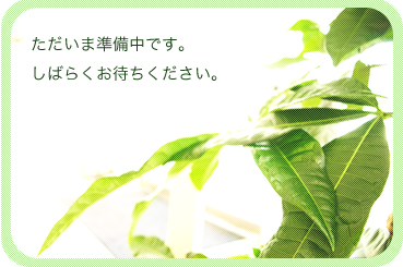 ただいま準備中です。しばらくお待ちください。